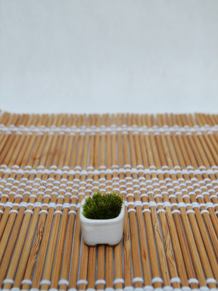 苔盆栽 苔盆栽